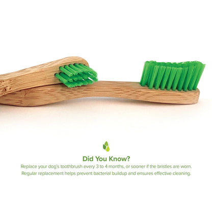 Eco-Friendly Bamboo Toothbrush for Small Dog Oral Care by Purrfect Pet Kingdom, natural color, perfect for dental hygiene.