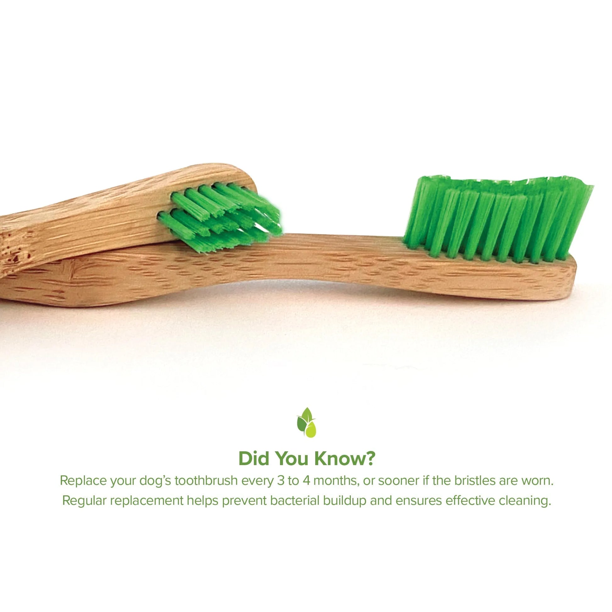 Eco-Friendly Bamboo Toothbrush for Small Dog Oral Care by Purrfect Pet Kingdom, 4.99 variant, natural wood color, perfect ...