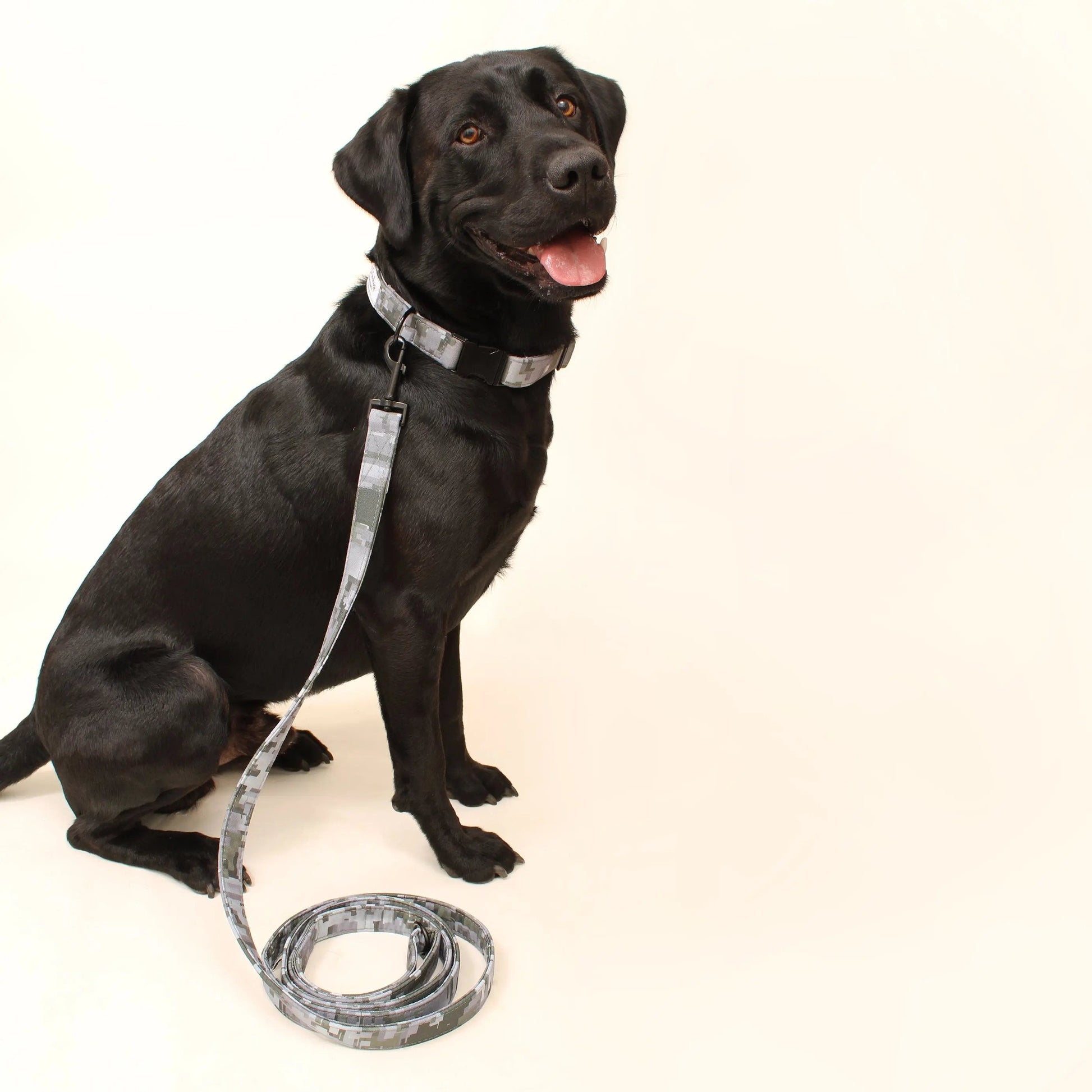 Eco-friendly dog leash with camo design featuring a durable and stylish pattern for outdoor adventures
