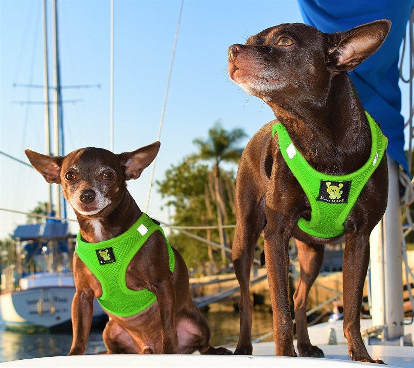 Dog Harness EcoBark Step In Harness XXXS to Small Breeds- - gallery product image for dog harness
