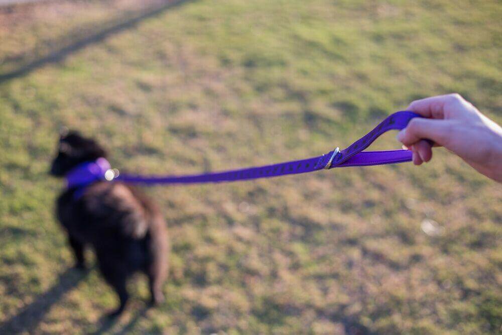 Dog Leash EcoBark Purple Leash- Padded Comfort Grip Leash - gallery product image for dog leash