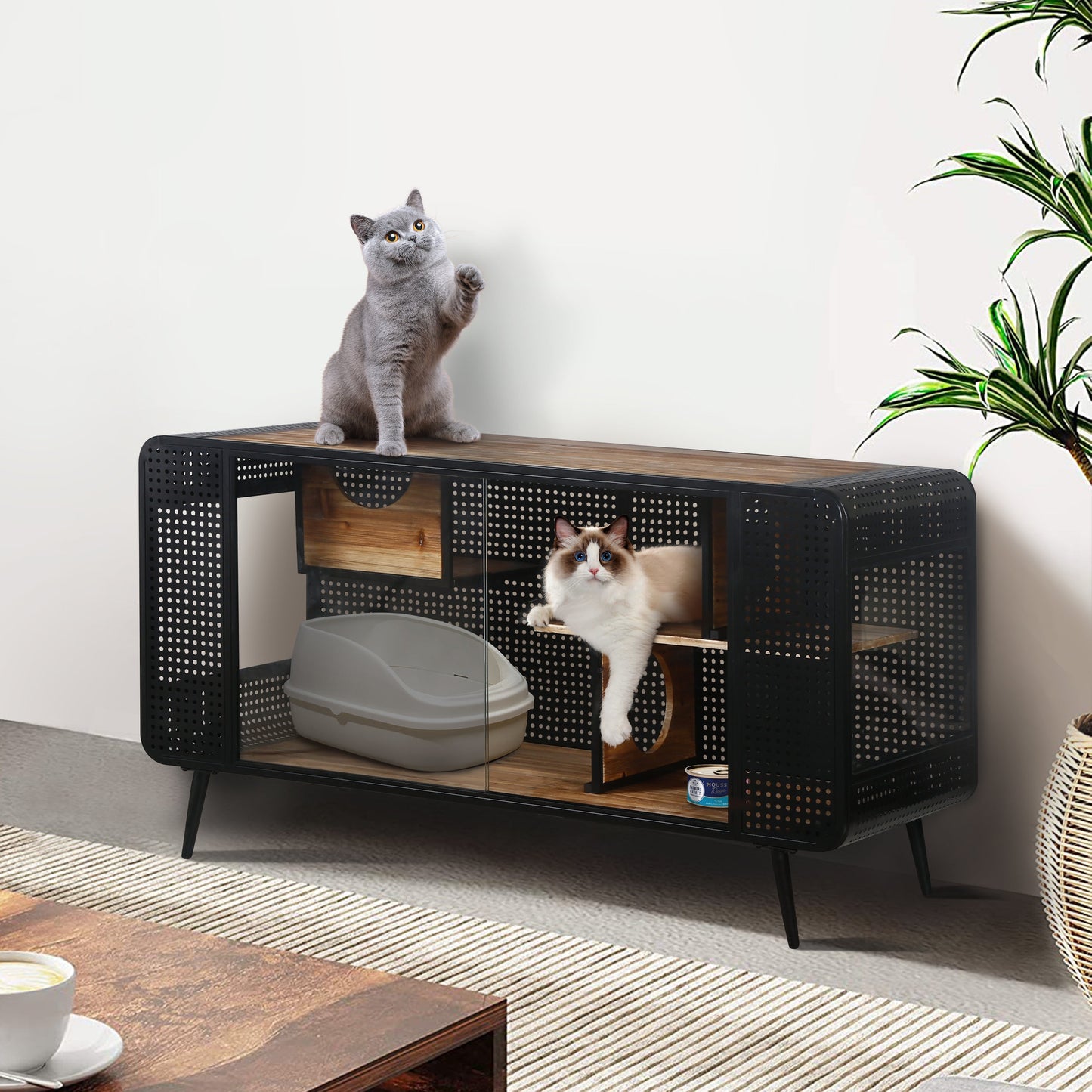 Modern Spacious Cat House with Tempered Glass and Iron Frame
