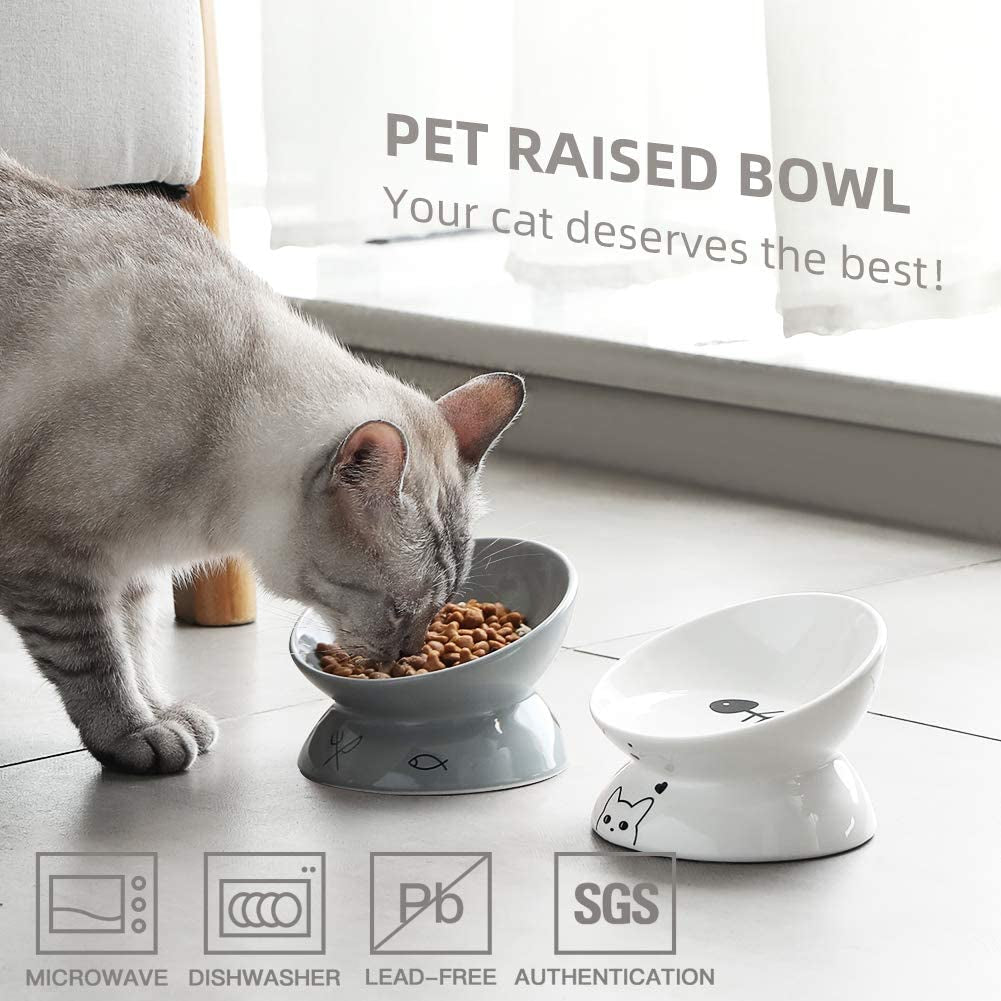 Cat Bowl Ceramic Raised Elevated Tilted Angle 🐱