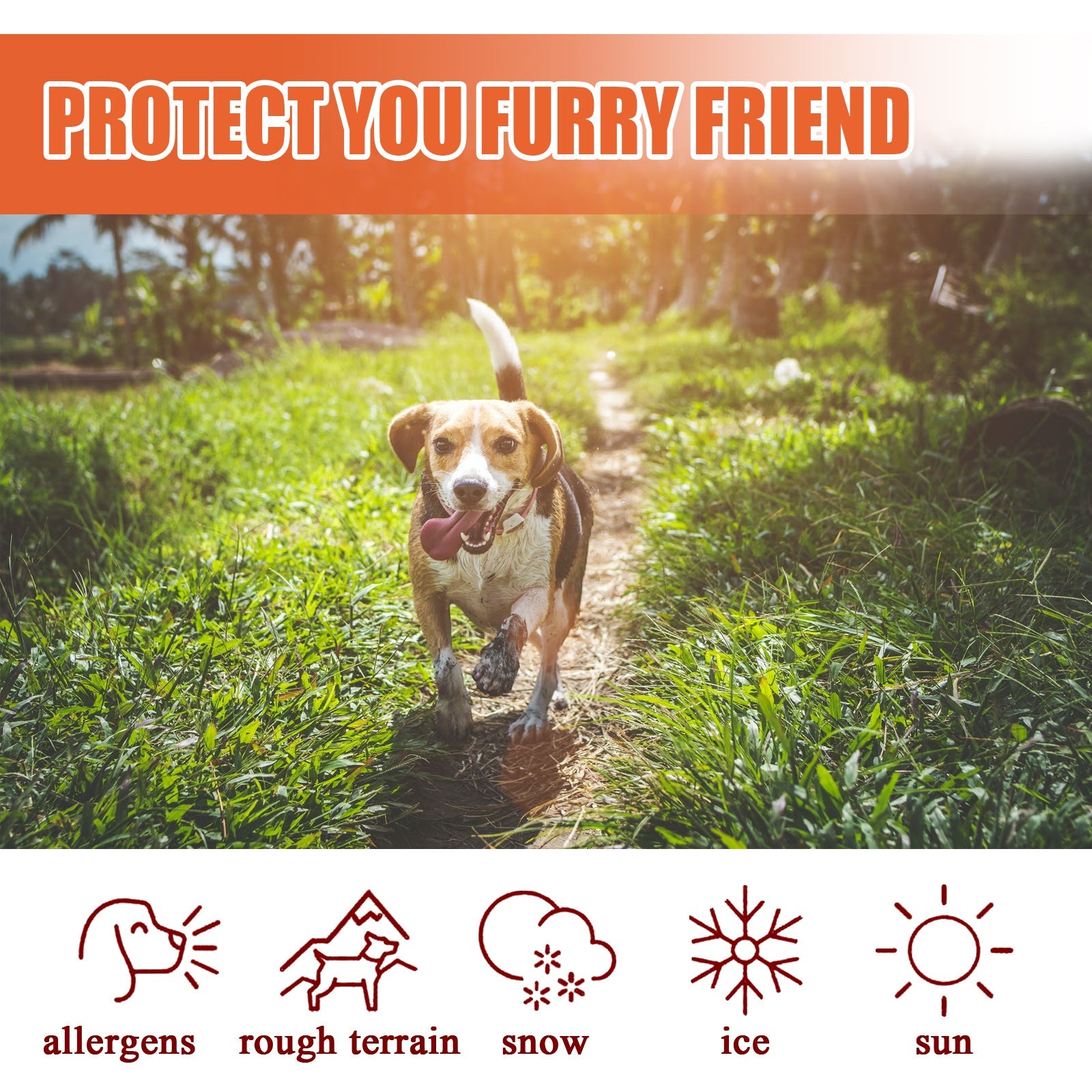 Organic paw balm for pets to protect against allergens, rough terrain, snow, ice, and sun