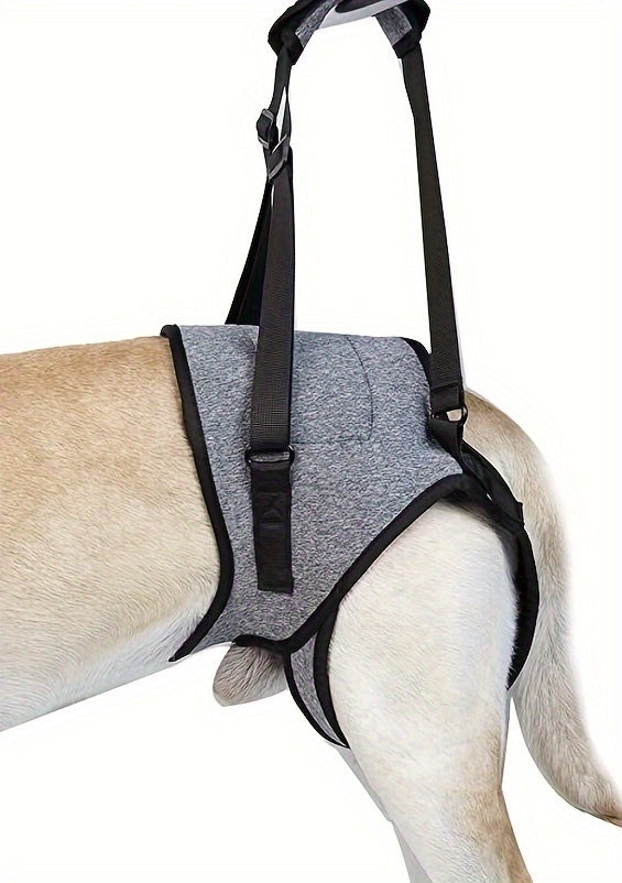Recovery Support Harness - Help Your Dog Walk Again
