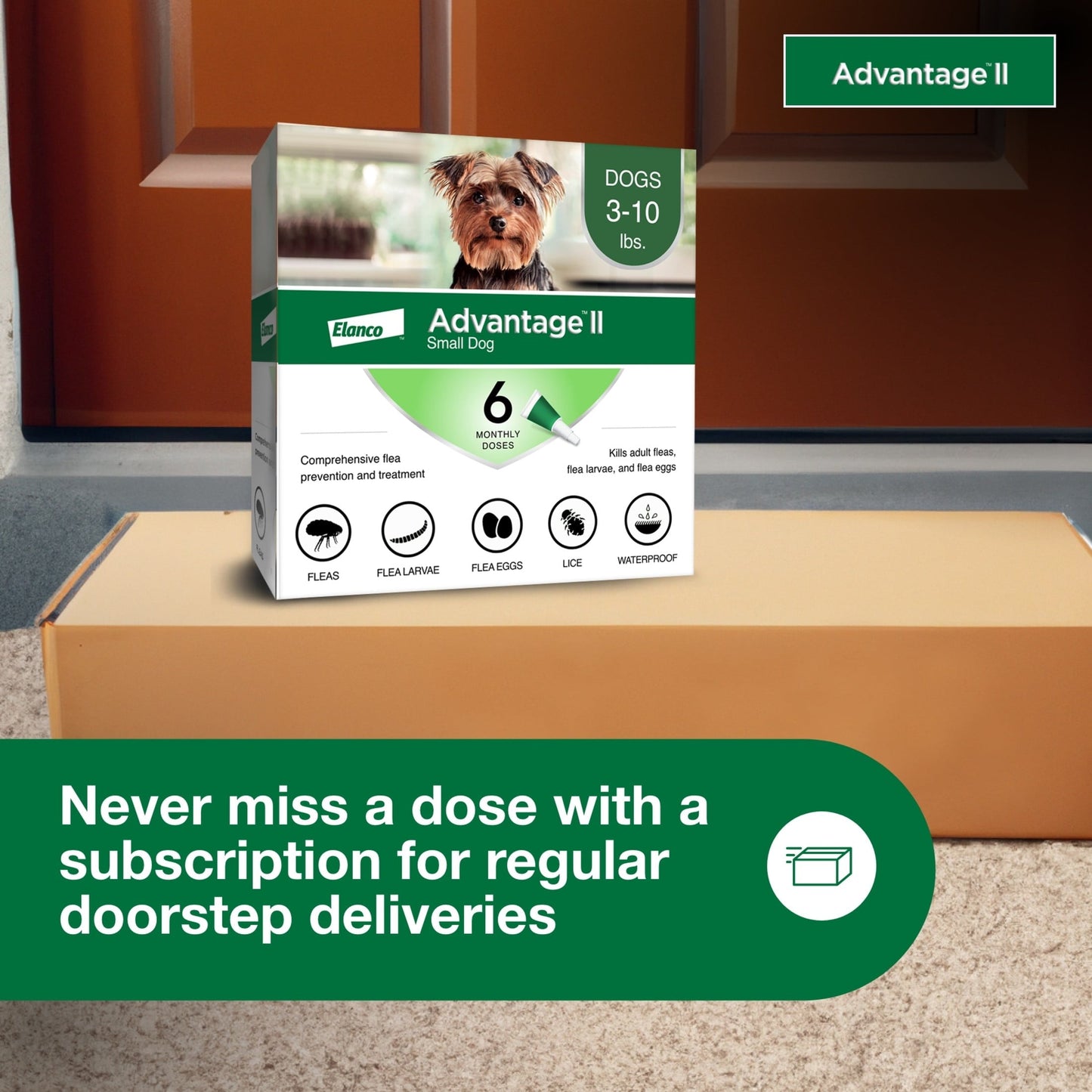 Advantage II Flea & Tick Prevention 6 pack for small dogs weighing 3-10 lbs, best dog flea control.