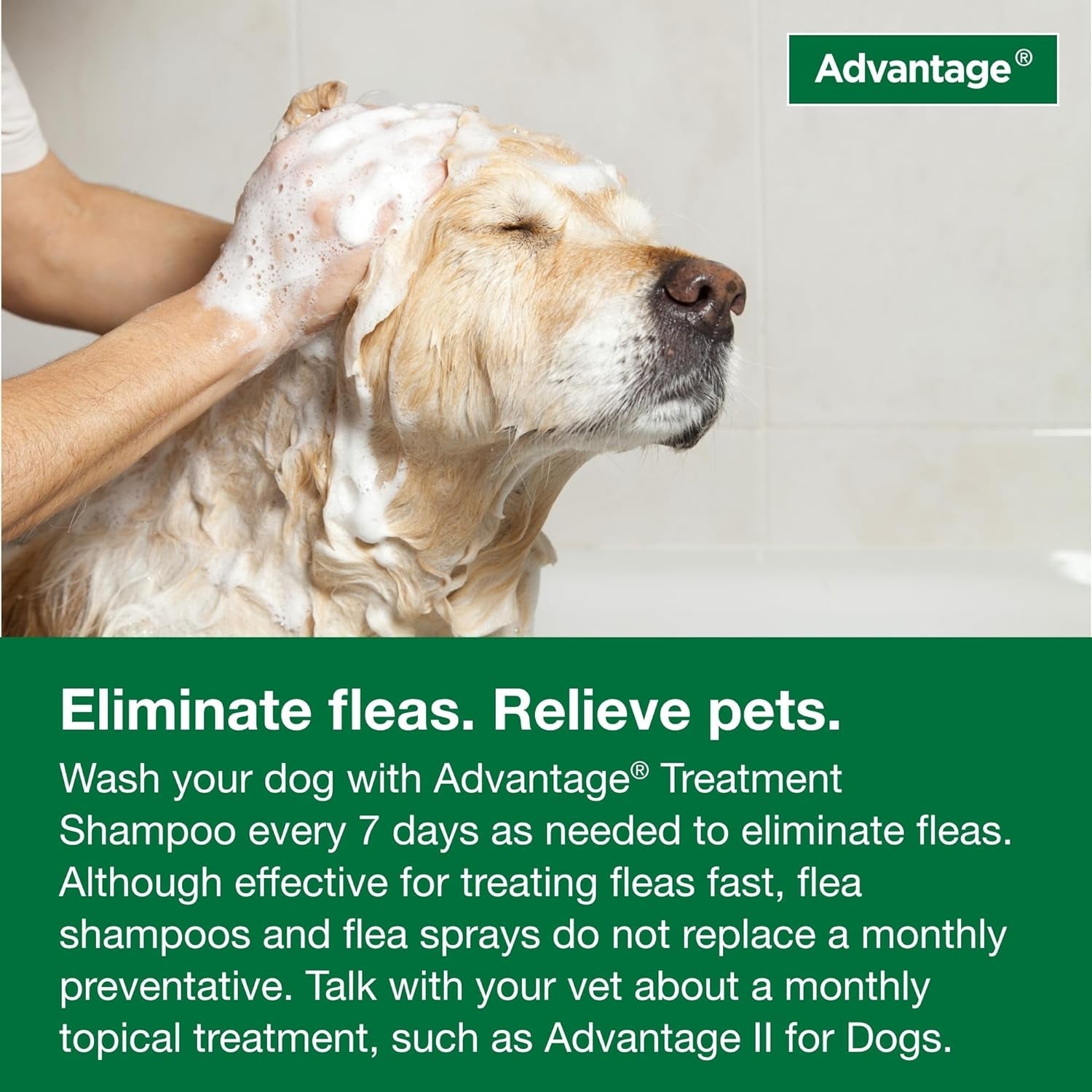 Advantage Treatment Flea and Tick Shampoo for Dogs to eliminate fleas, the best tick shampoo for adult dogs