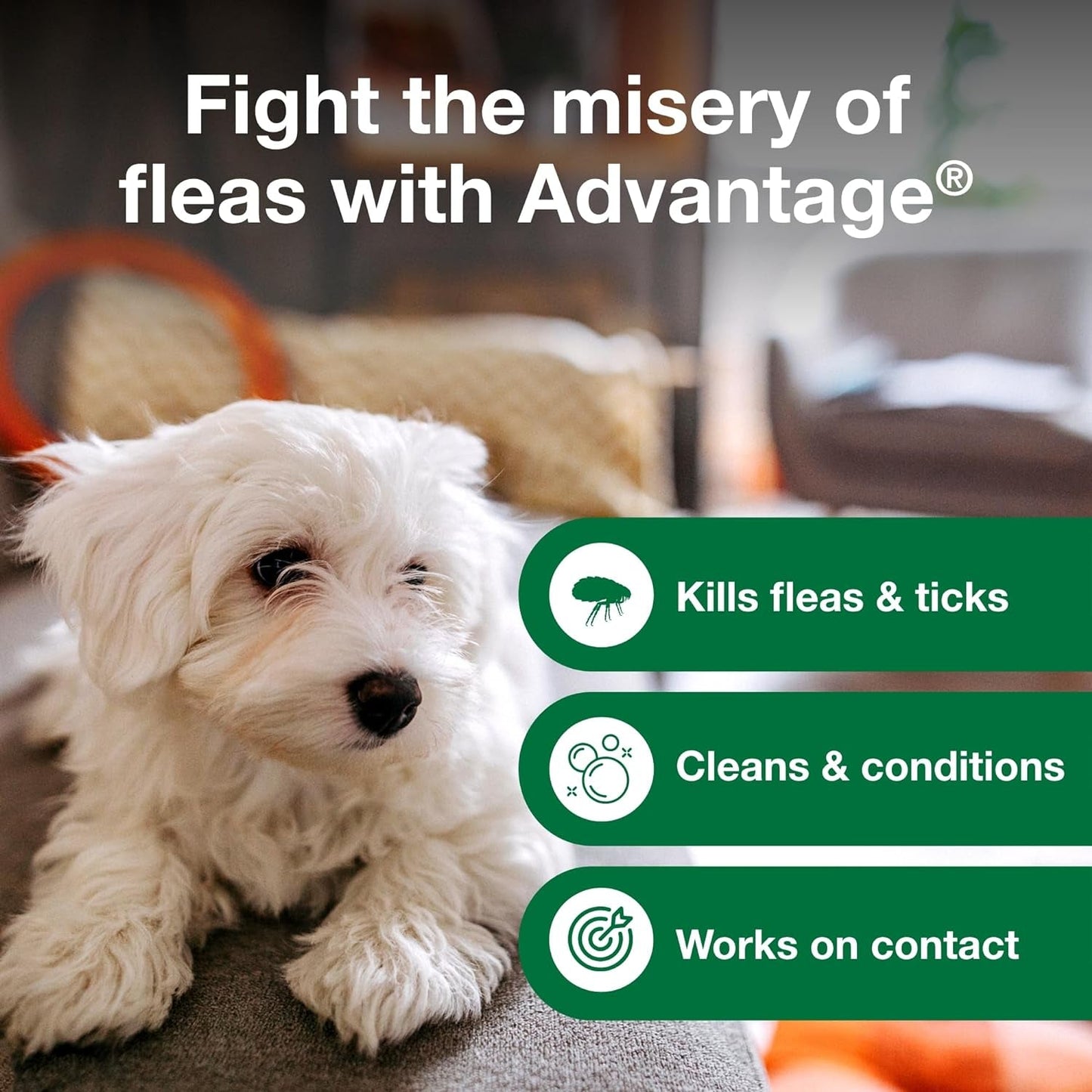 Advantage Flea and Tick Shampoo for Dogs, the best tick shampoo for adult dogs to combat fleas and ticks effectively