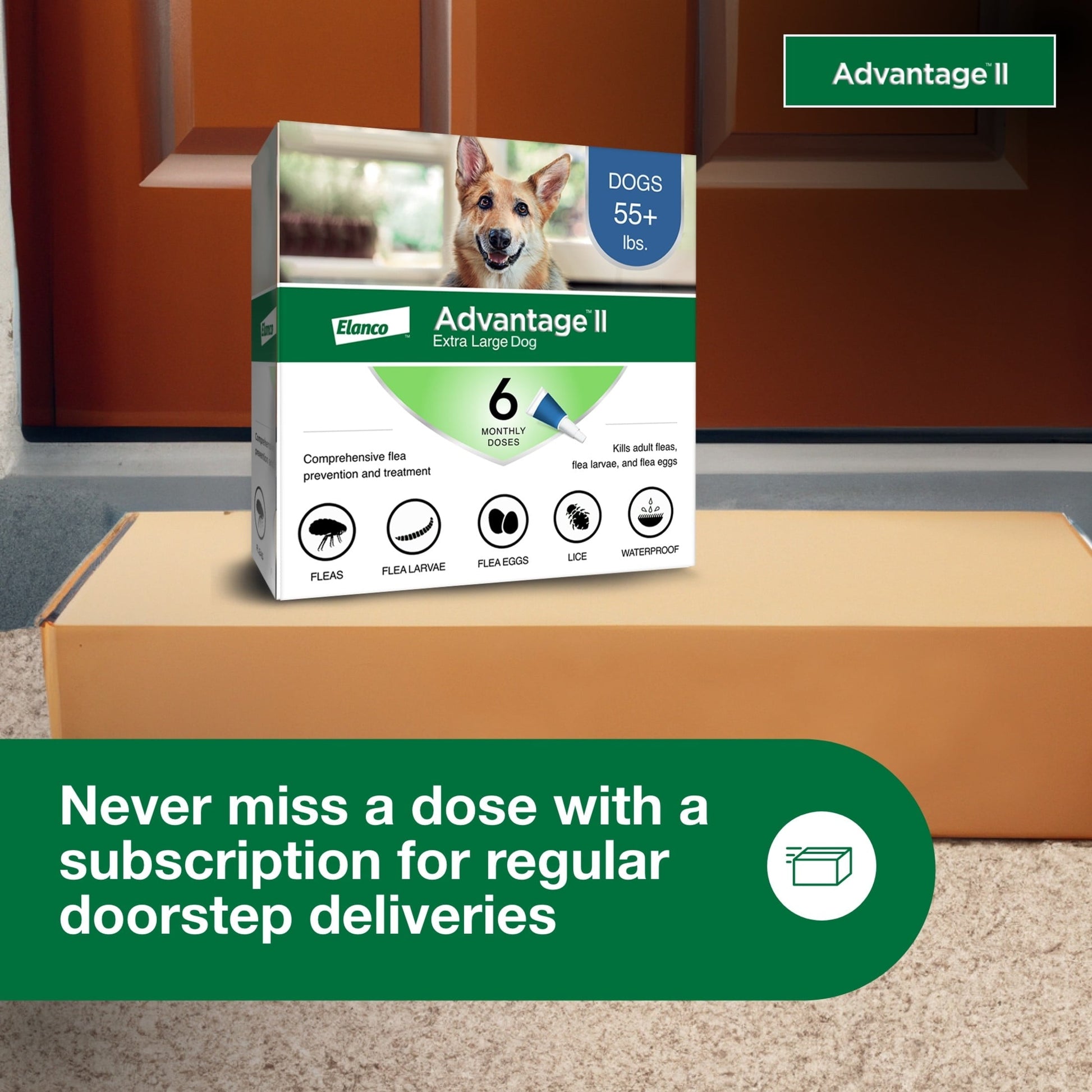 Advantage II flea and tick medication 55 lbs and up packaging for dogs with comprehensive flea prevention