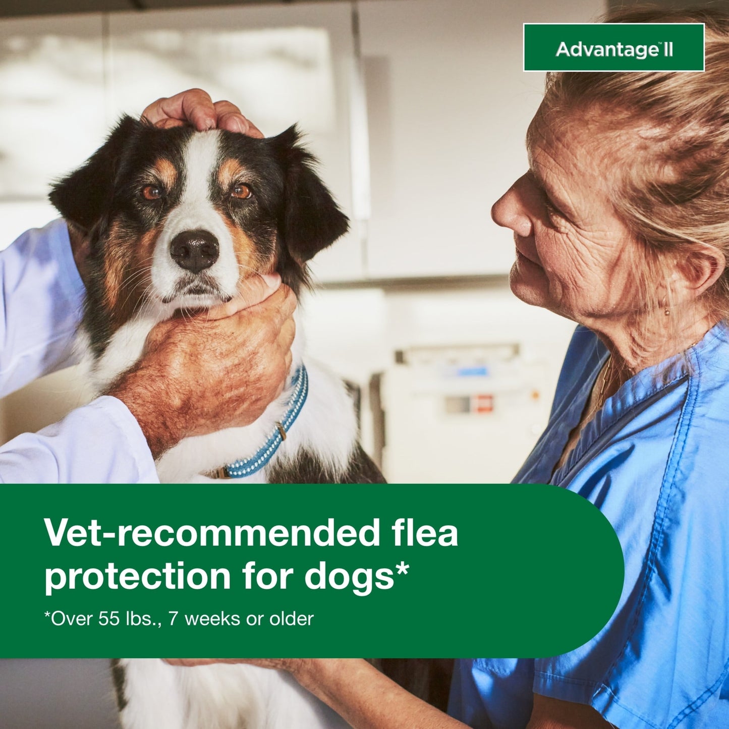 Vet-recommended Advantage II flea and tick medication 55 lbs and up for dogs with a veterinarian consultation
