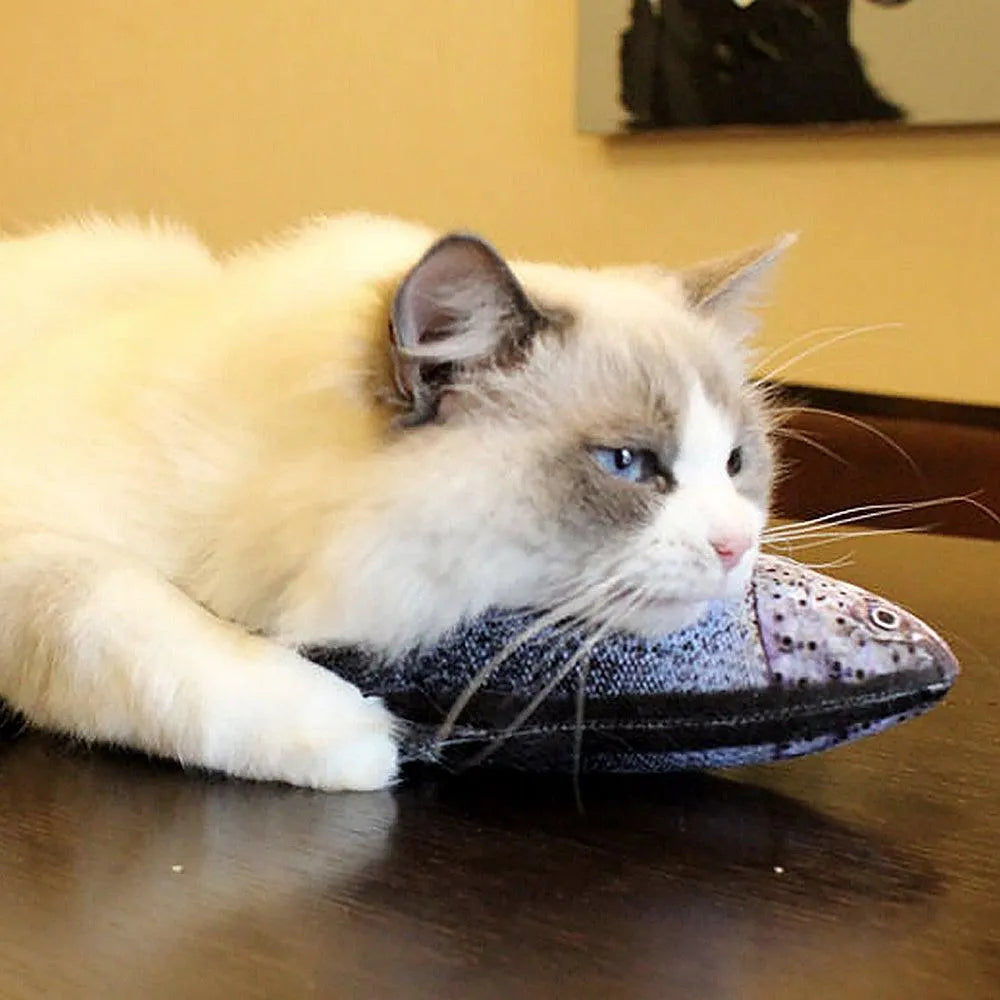 Electric Cat Toy 3D Fish by Stevvex, realistic plush, USB charging, interactive catnip kicker, available in multiple varia...