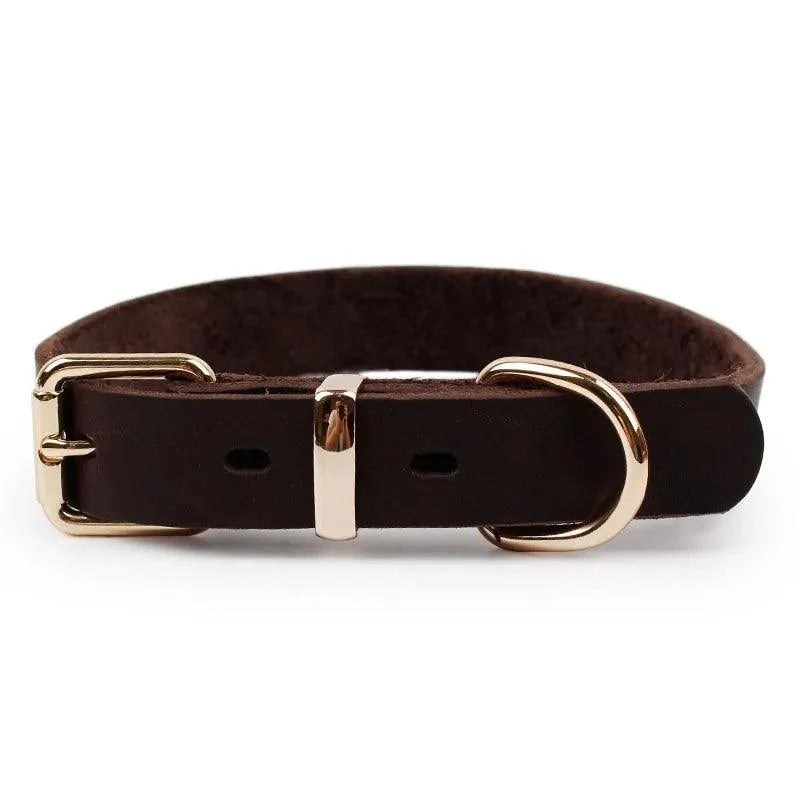 Elegant Leather Pet Collar