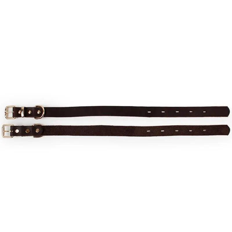 Elegant Leather Pet Collar