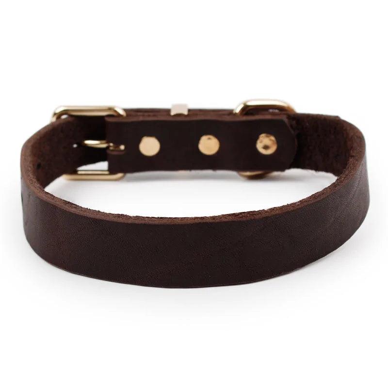 Elegant Leather Pet Collar