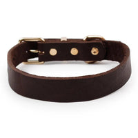 Mandotos Adjustable Leather Dog Collar With Gold Hardware