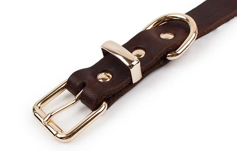Elegant Leather Pet Collar