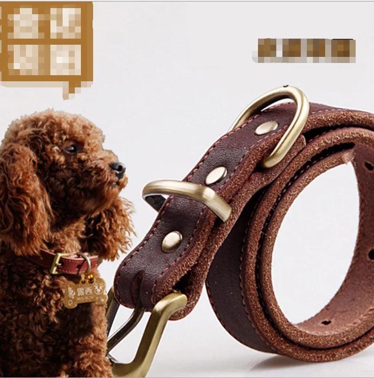 Elegant Leather Pet Collar