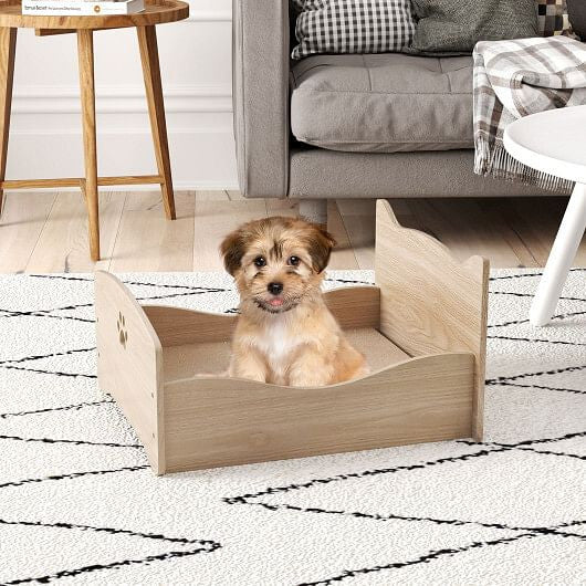Elevated cat bed with frame in a stylish living room setting for cozy pet relaxation