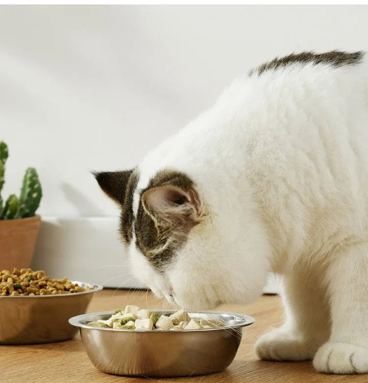 Elevated Ceramic Cat Food Bowl Set by Purrfect Pet Kingdom in white, featuring a double bowl variant, perfect for small do...