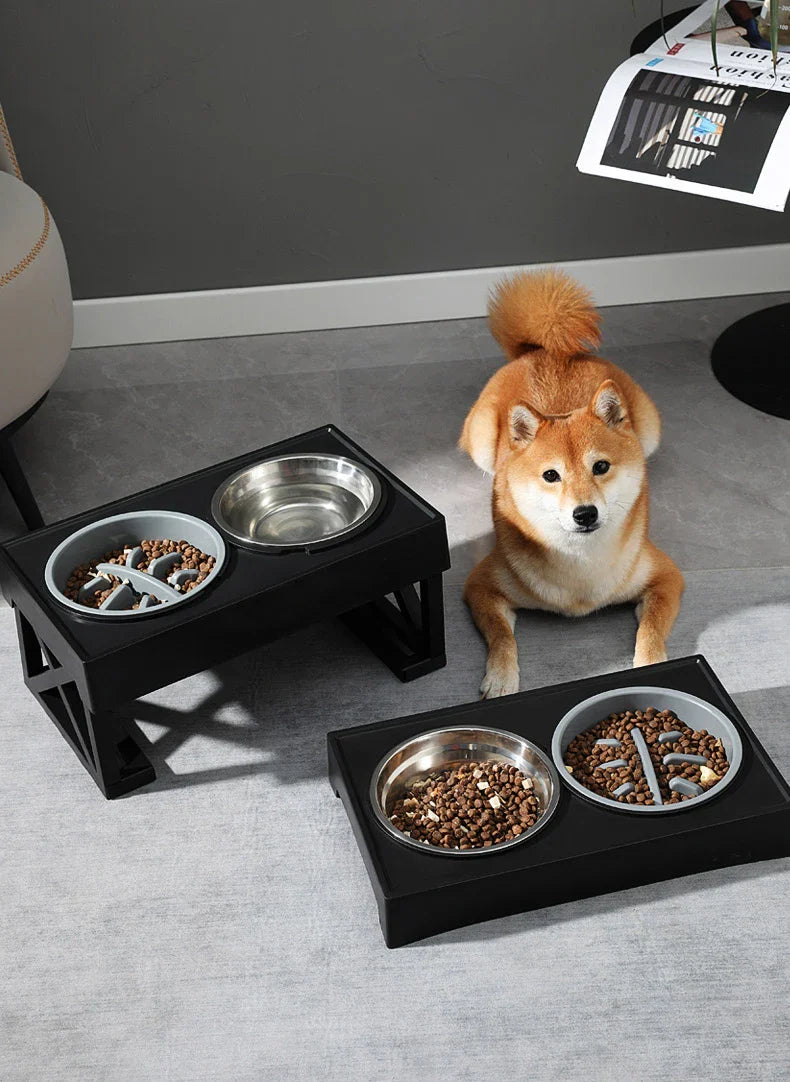 Stylish elevated dog bowls for large dogs with a Shiba Inu nearby, perfect for comfortable feeding