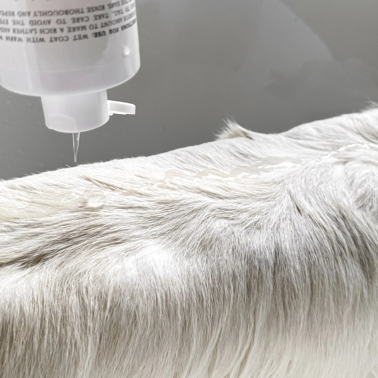 Elise Galleria - Le Pet Wash - Pet Wash