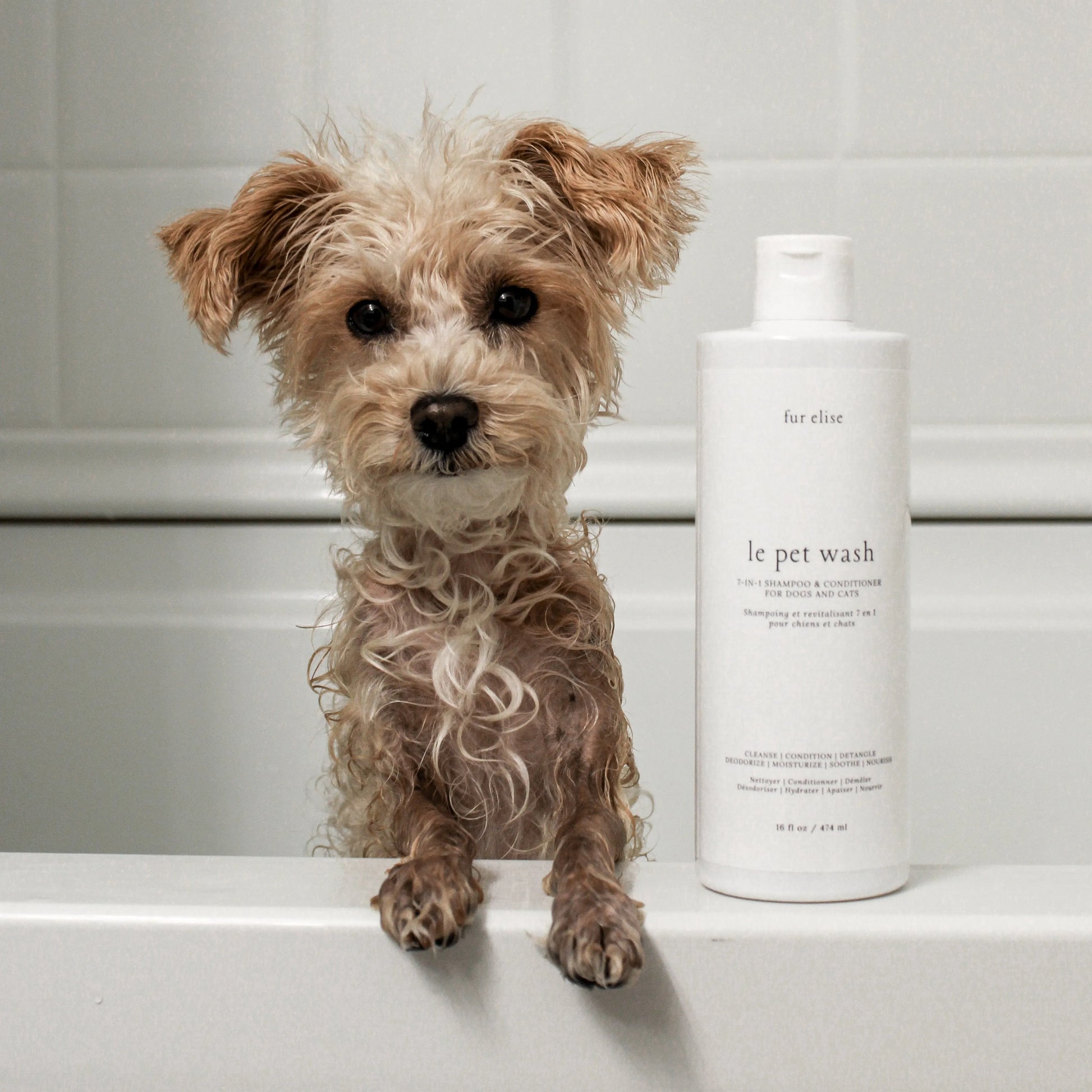 Elise Galleria - Le Pet Wash - Shampoos