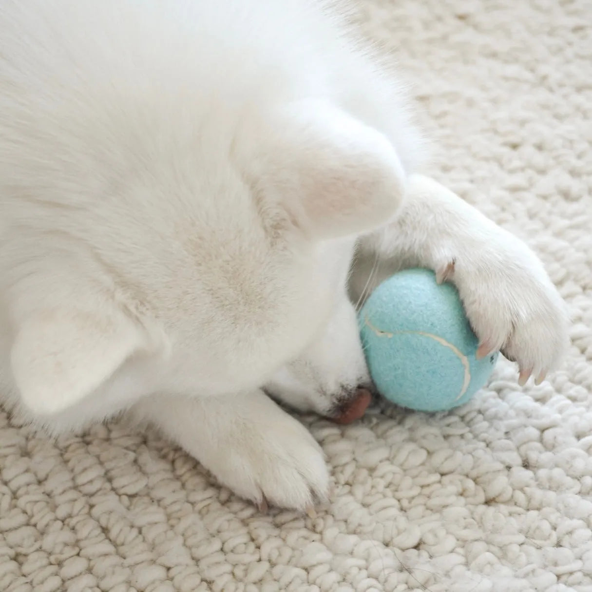 Elise Galleria - So Fetch! Tennis Ball - Cloud - Toys