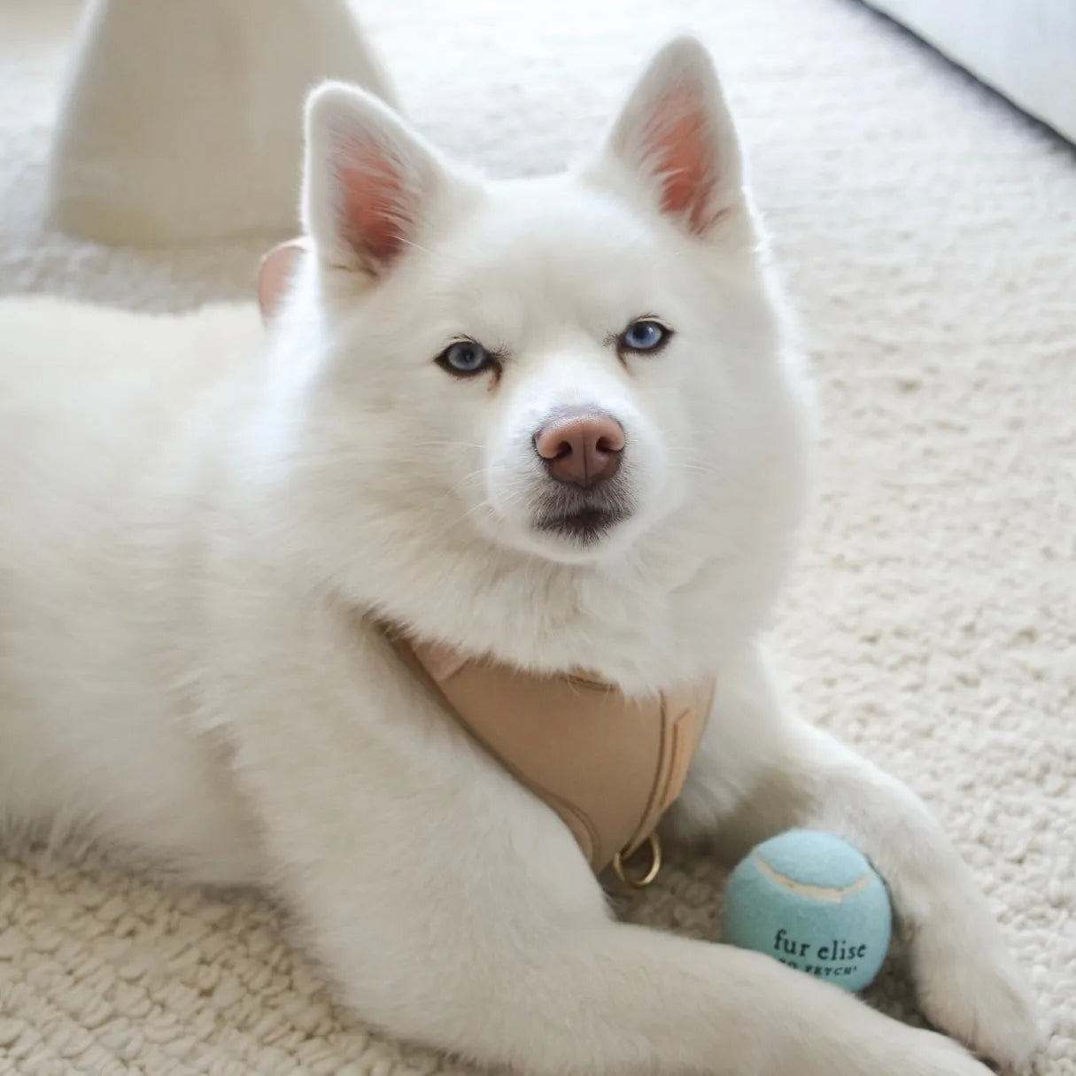 Elise Galleria - So Fetch! Tennis Ball - Cloud - Toys