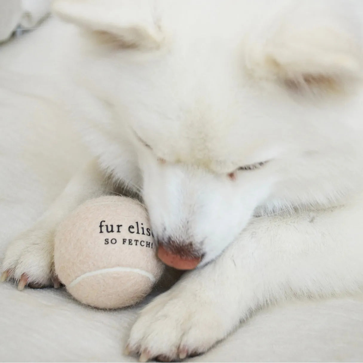 Elise Galleria - So Fetch! Tennis Ball - Latte - Toys