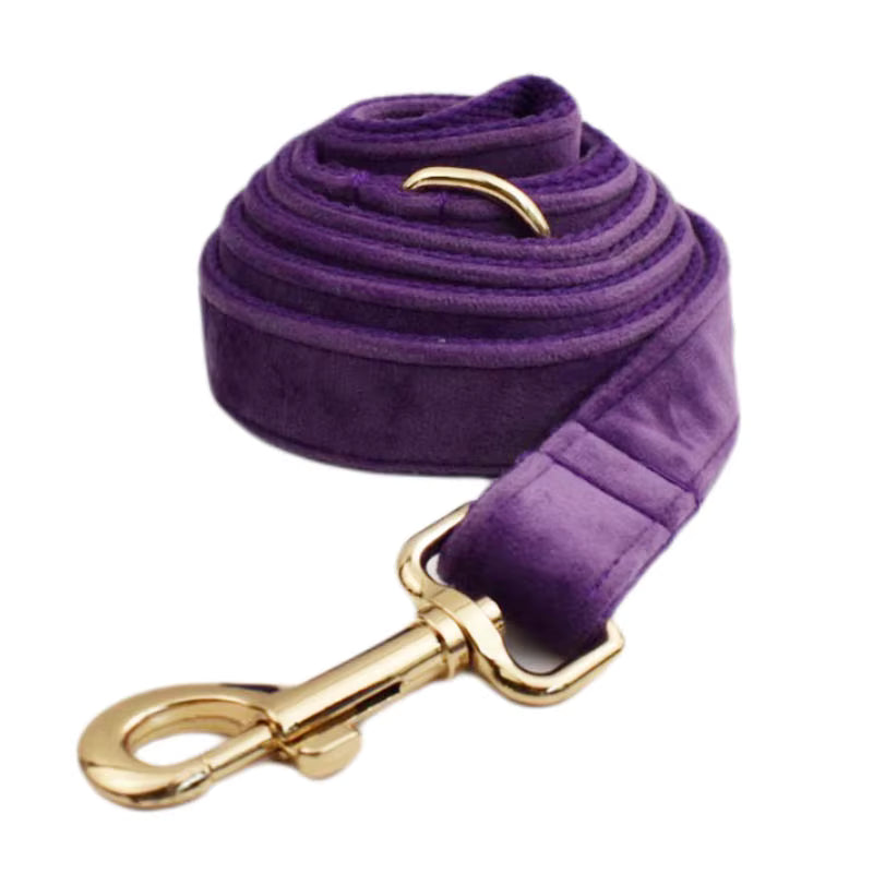 Premium Purple Velvet Dog Collar and Leash Set for Small Do