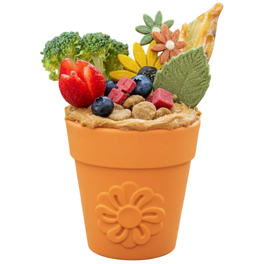 Purrfect Kingdom™ - SodaPup Lick Mat Slow Feeder