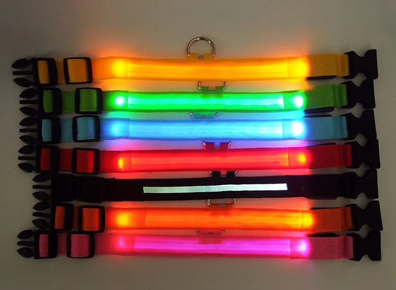 Royal Luminous Safety Pet Collar Adjustable LED Night Visibility 💡👑