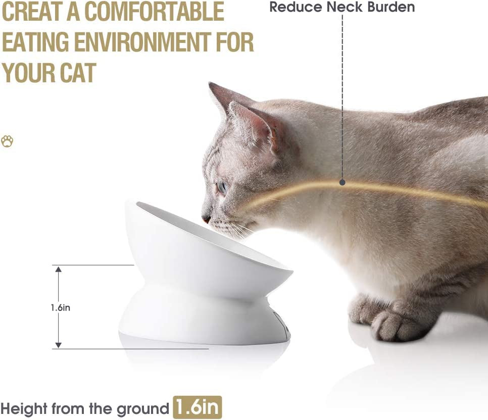 Ergonomic cat food dish designed to reduce neck burden for a comfortable eating environment