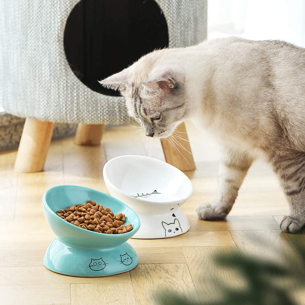 Ergonomic cat food dish set with elevated bowls for comfortable feeding, featuring playful designs