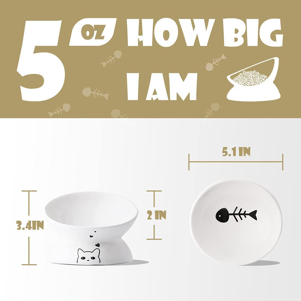 Purrfect Pet Kingdom ergonomic cat food dish designed for comfortable feeding with fish bone graphic