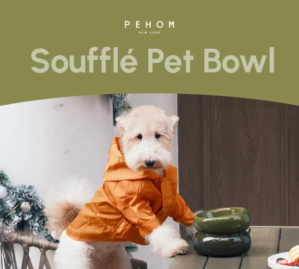 Ergonomic Ceramic Pet Bowl for Neck Relief in Avocado Green by Purrfect Pet Kingdom, perfect for pet comfort and style.