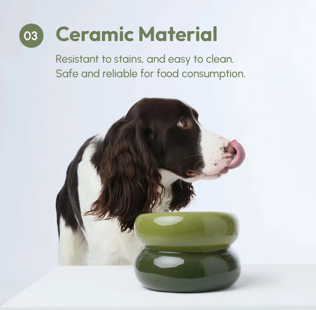 Ergonomic Elevated Ceramic Pet Bowl by Purrfect Pet Kingdom, designed for neck comfort, in a sleek white finish, perfect f...