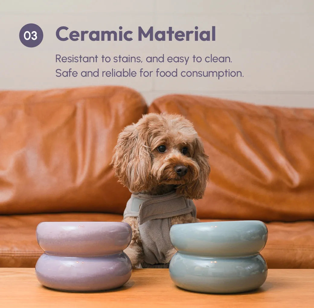 Ergonomic Elevated Pet Bowl for Cats and Dogs in purple by Purrfect Pet Kingdom, perfect for comfortable feeding.