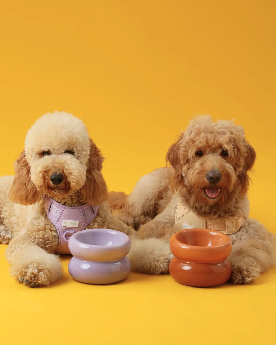 Ergonomic Elevated Pet Bowl for Cats and Dogs in purple by Purrfect Pet Kingdom, perfect for comfortable feeding.