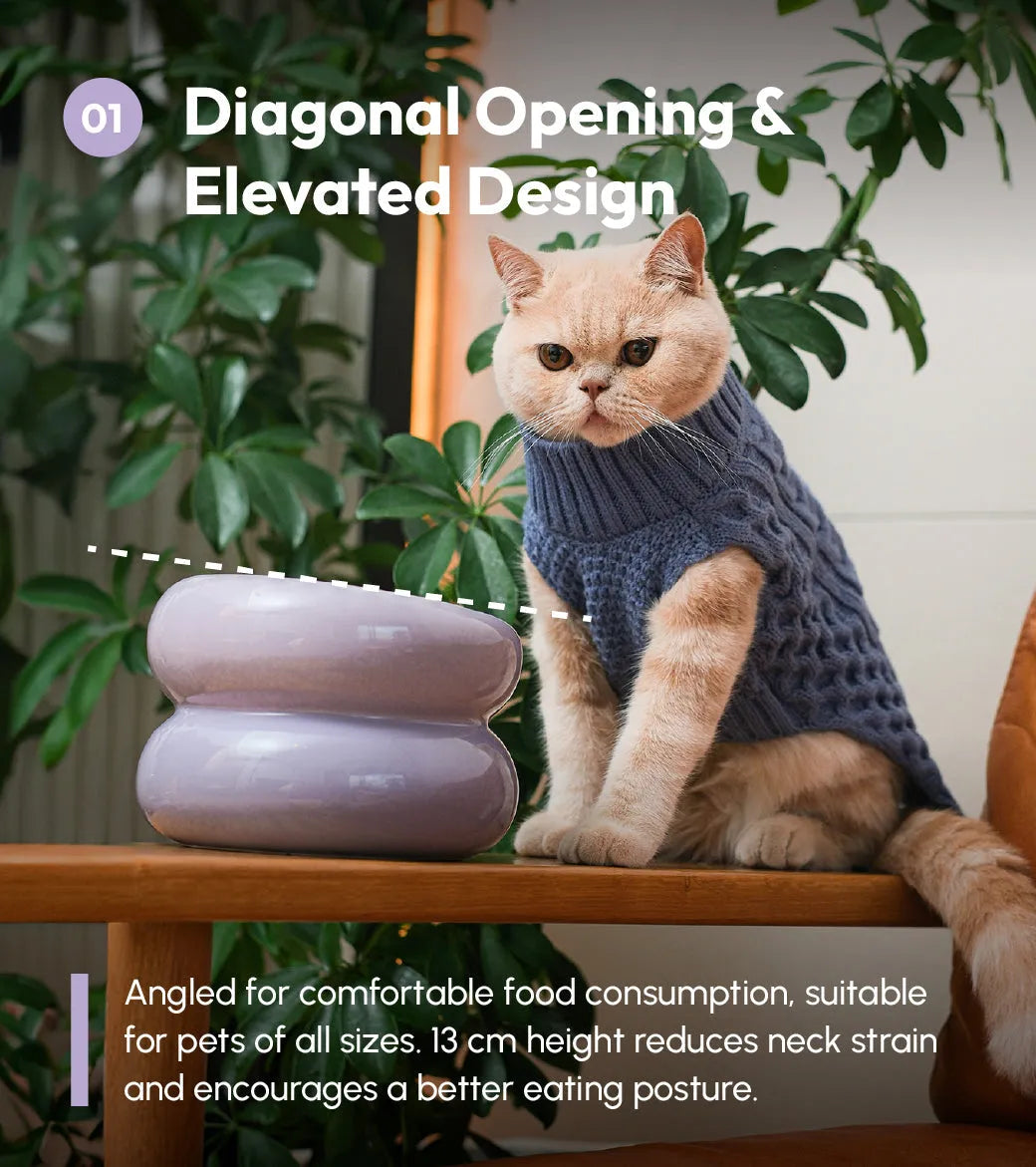 Ergonomic Elevated Pet Bowl for Cats and Dogs in purple by Purrfect Pet Kingdom, perfect for comfortable feeding.