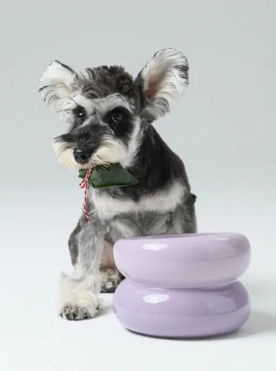 Ergonomic Elevated Pet Bowl for Cats and Dogs in purple by Purrfect Pet Kingdom, perfect for comfortable feeding.