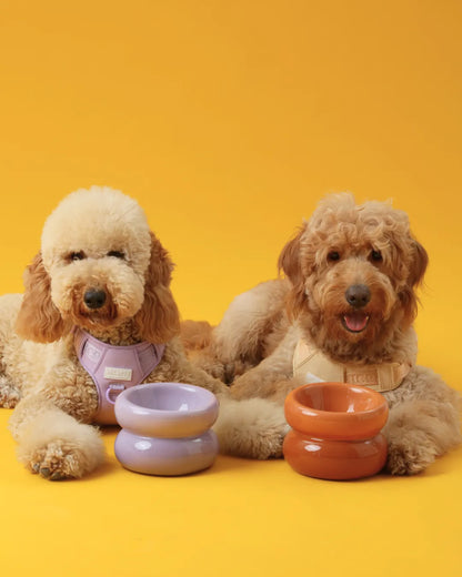 Ergonomic Elevated Pet Bowl for Cats and Dogs in purple by Purrfect Pet Kingdom, perfect for comfortable feeding.