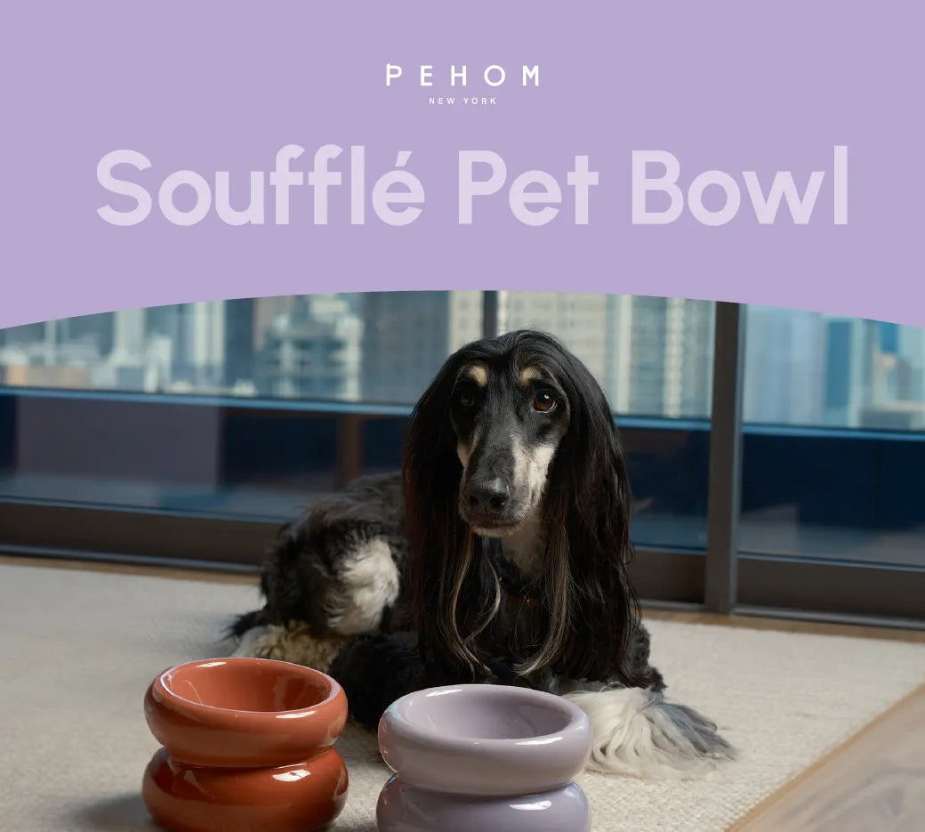 Ergonomic Elevated Pet Bowl for Cats and Dogs in purple by Purrfect Pet Kingdom, perfect for comfortable feeding.