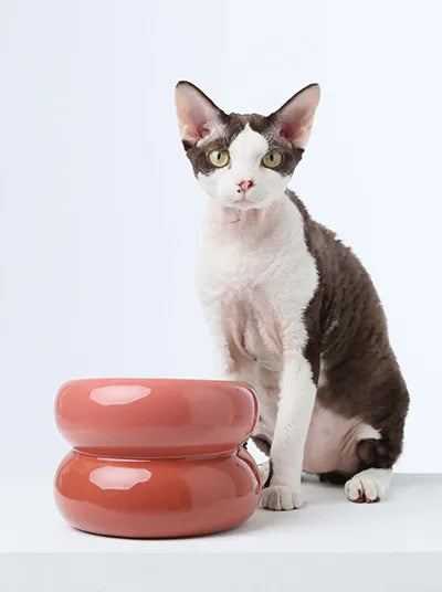 Ergonomic Elevated Pet Bowl for Cats and Dogs in Rose Pink by Purrfect Pet Kingdom, perfect for comfortable feeding.