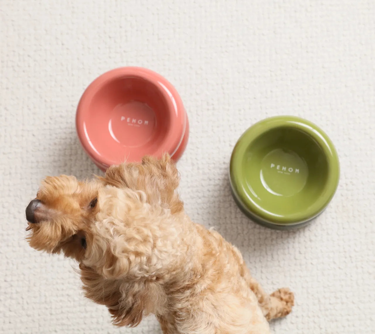 Ergonomic Elevated Pet Bowl in Rose Pink by Purrfect Pet Kingdom, designed for better digestion, perfect for stylish pets.