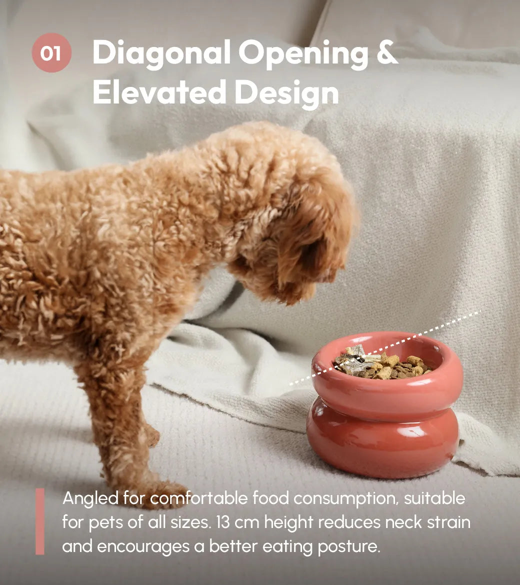 Ergonomic Elevated Pet Bowl for Cats and Dogs in Rose Pink by Purrfect Pet Kingdom, perfect for stylish feeding.