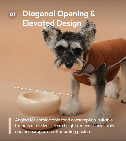 Ergonomic slanted ceramic pet bowl by Purrfect Pet Kingdom, ideal for neck protection, in a sleek design, priced at $50.00.