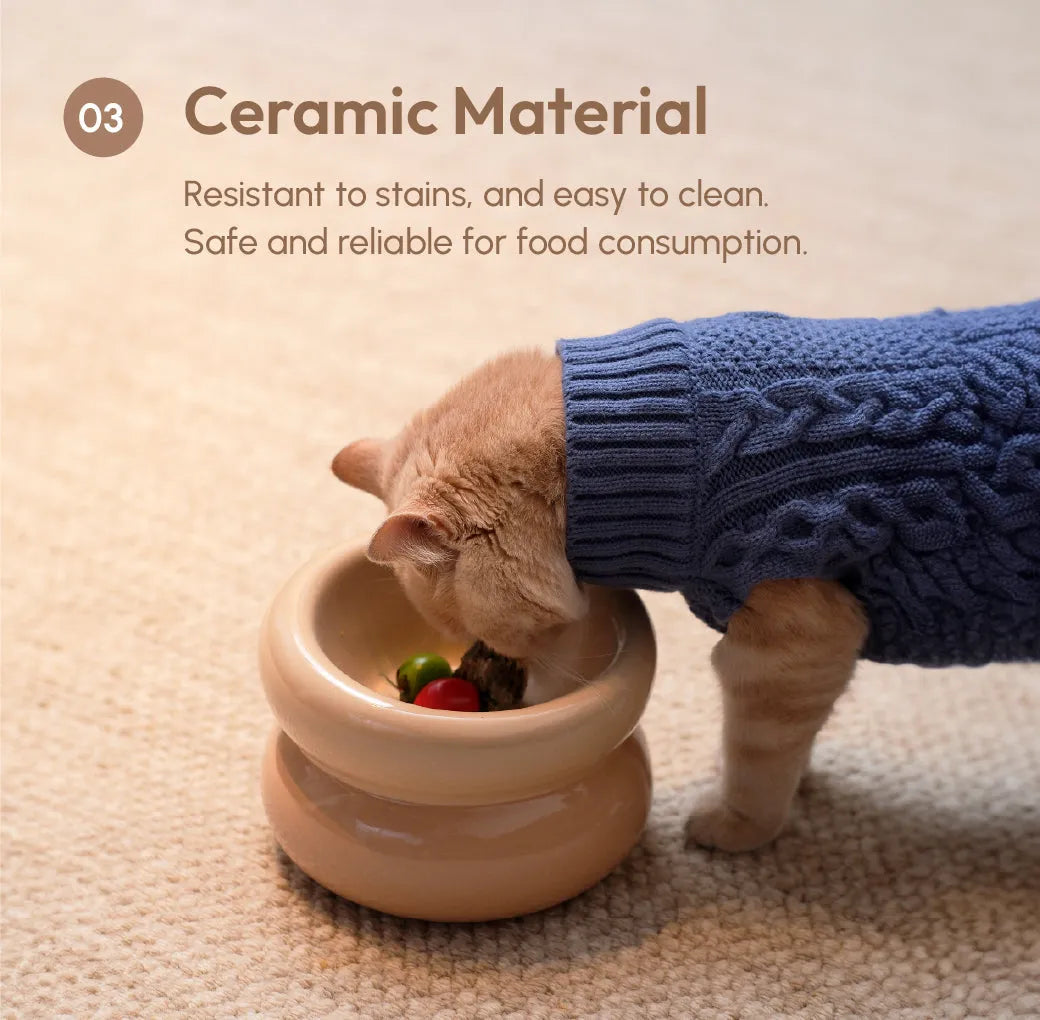 Ergonomic slanted ceramic pet bowl by Purrfect Pet Kingdom, ideal for neck protection, in a sleek design, priced at $50.00.