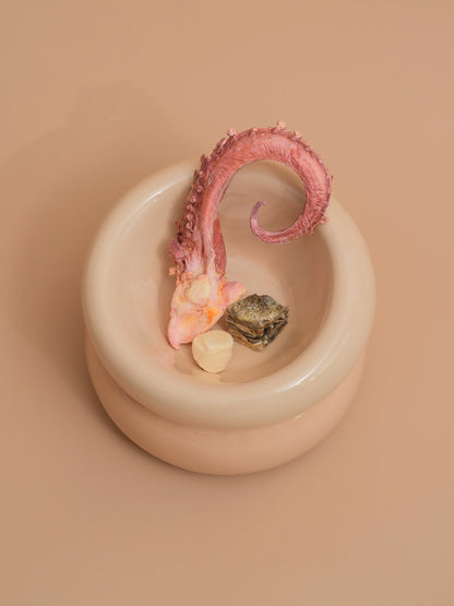 Ergonomic slanted ceramic pet bowl by Purrfect Pet Kingdom, ideal for neck protection, in a sleek design, priced at $50.00.