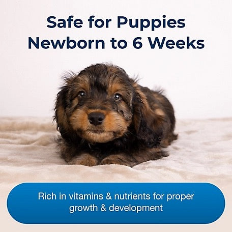 The Family Pet puppy milk replacer for newborn puppies up to 6 weeks, rich in vitamins and nutrients